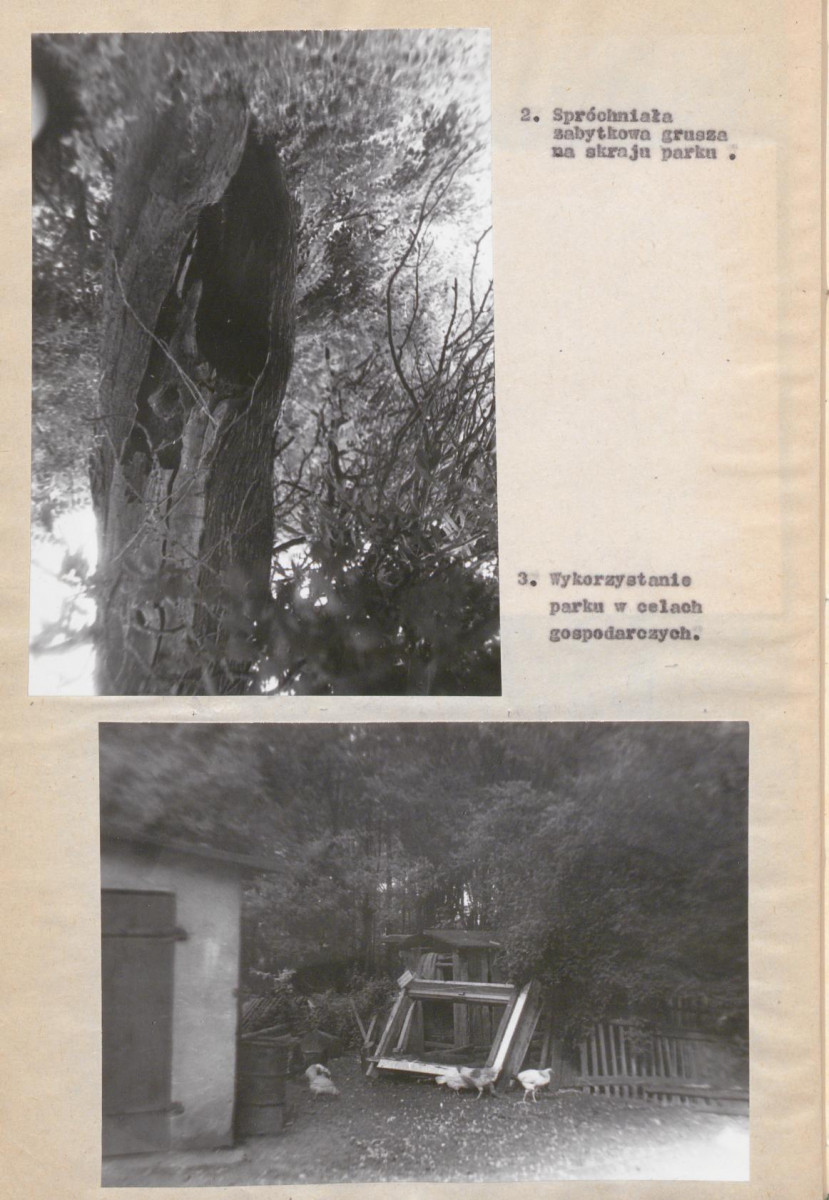 EP - Ewidencja parkowa, skan nr 17