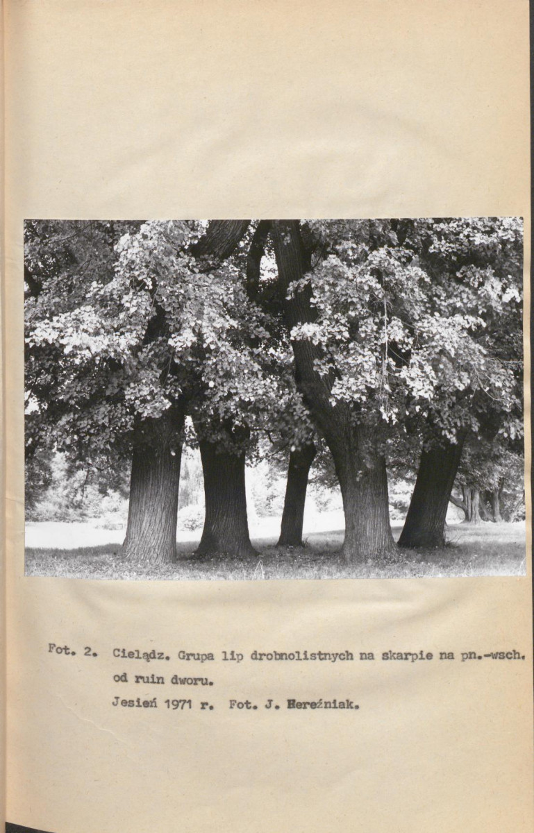EP - Ewidencja parkowa, skan nr 16