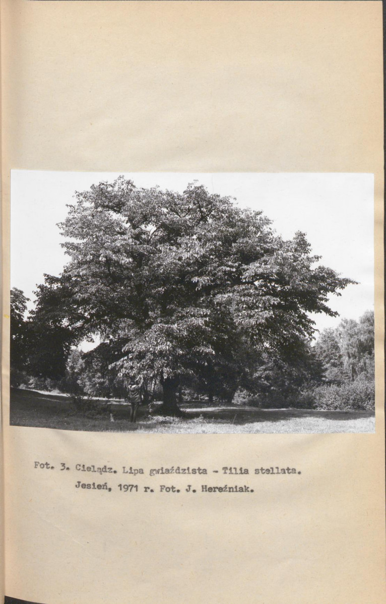EP - Ewidencja parkowa, skan nr 17