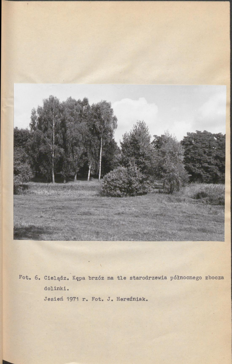 EP - Ewidencja parkowa, skan nr 20