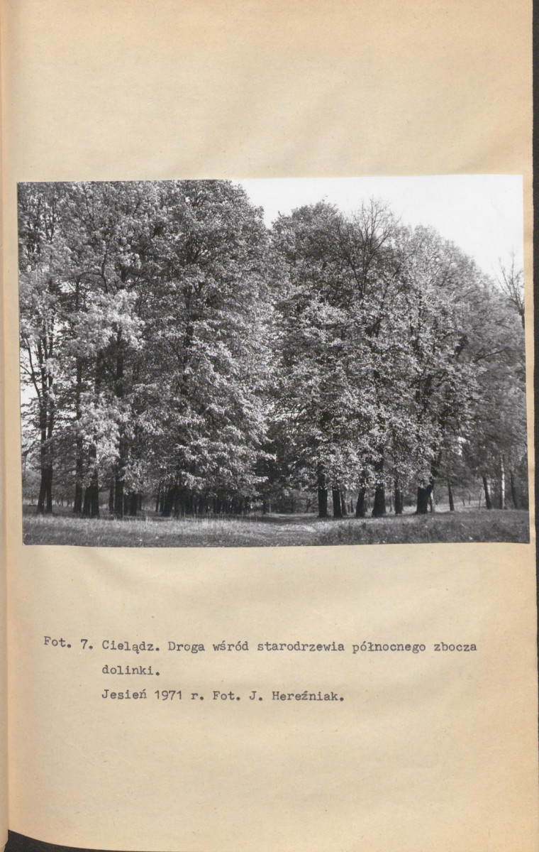 EP - Ewidencja parkowa, skan nr 21