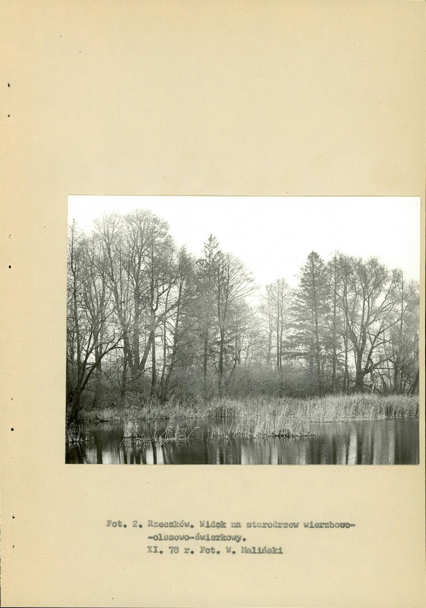 Ewidencja parkowa, skan nr 11