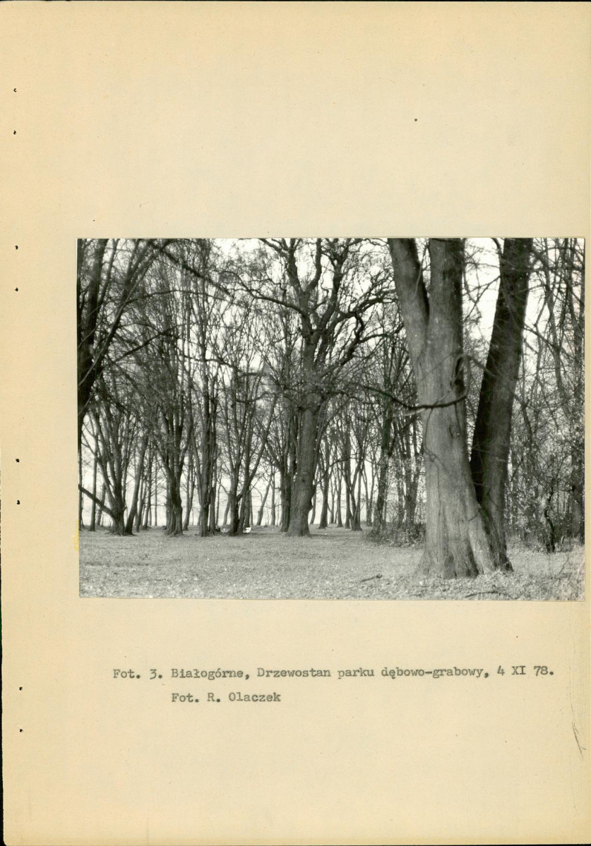 Ewidencja parkowa, skan nr 14