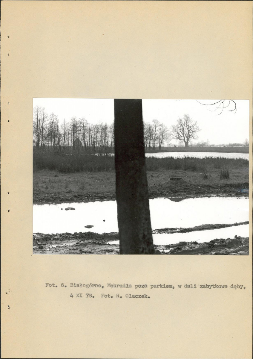 Ewidencja parkowa, skan nr 17