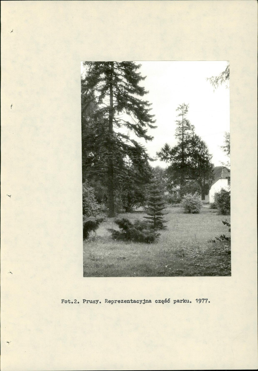 Ewidencja parkowa, skan nr 14