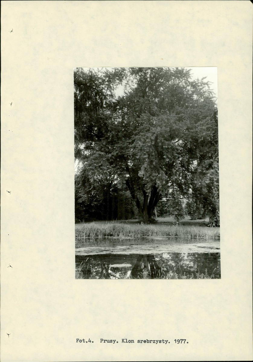 Ewidencja parkowa, skan nr 16