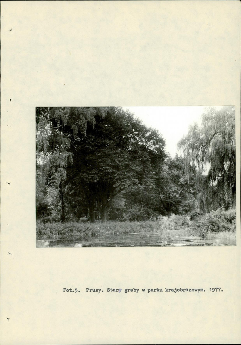 Ewidencja parkowa, skan nr 17