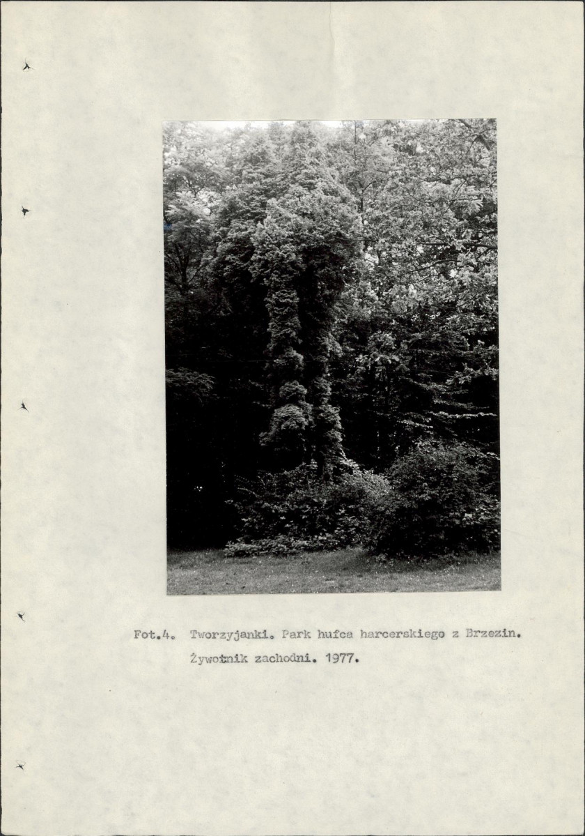 Ewidencja parkowa, skan nr 15