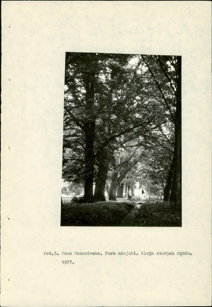 Ewidencja parkowa, skan nr 15