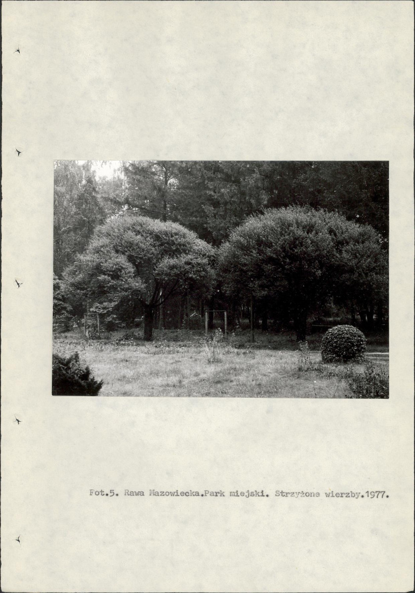 Ewidencja parkowa, skan nr 17