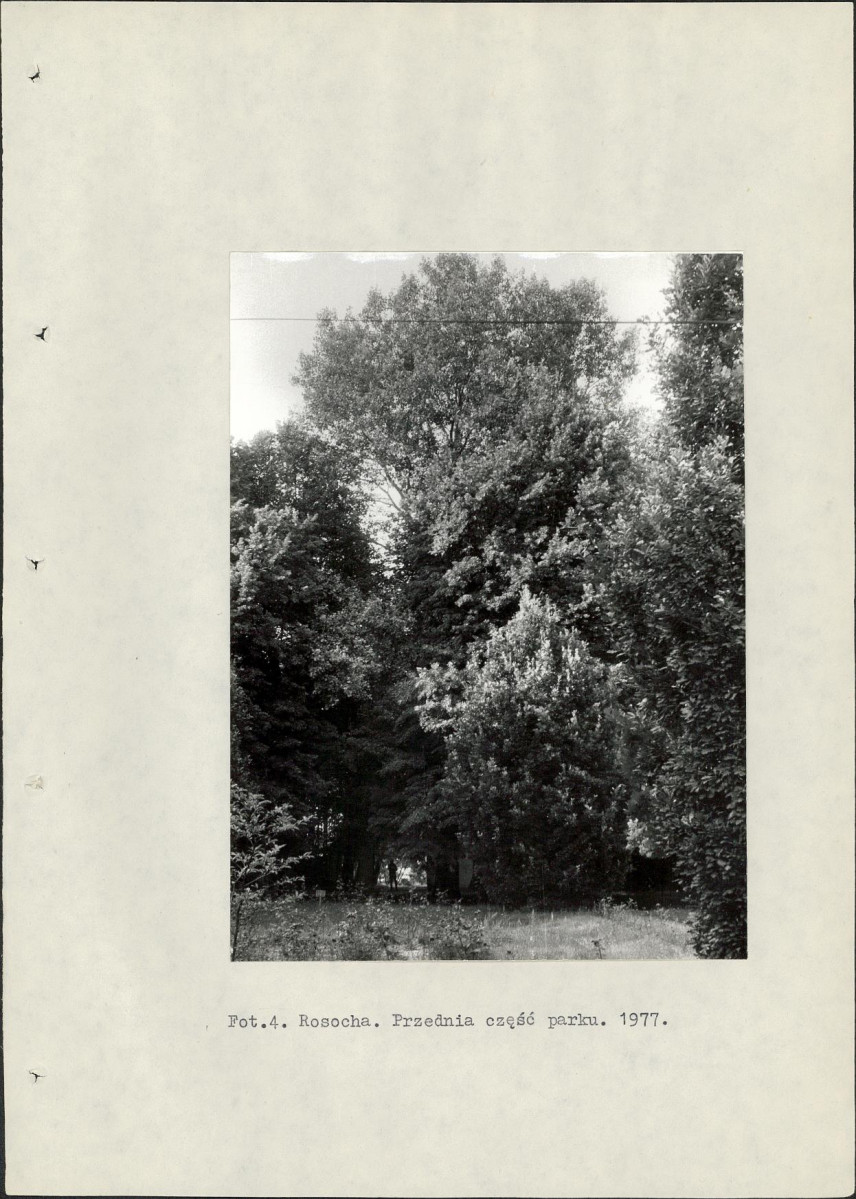 Ewidencja parkowa, skan nr 19