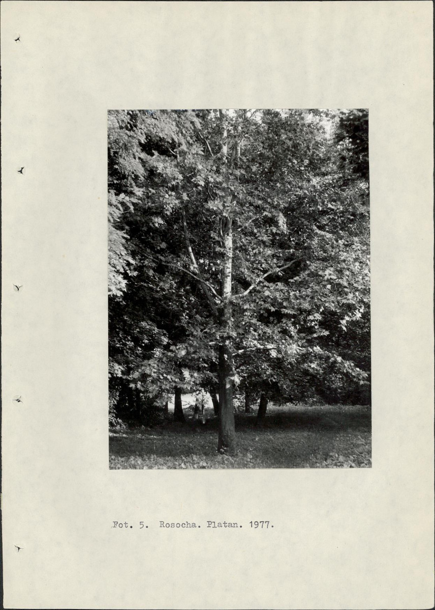 Ewidencja parkowa, skan nr 20