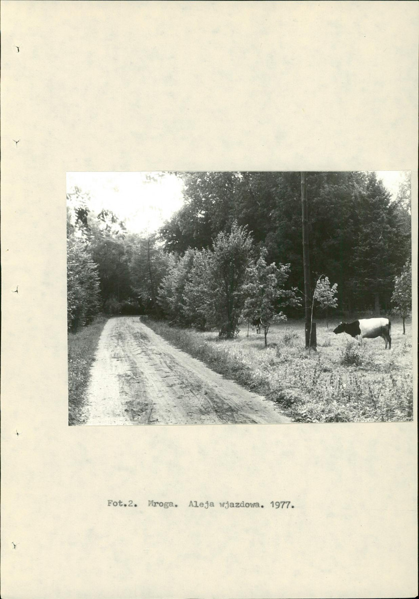 Ewidencja parkowa, skan nr 14