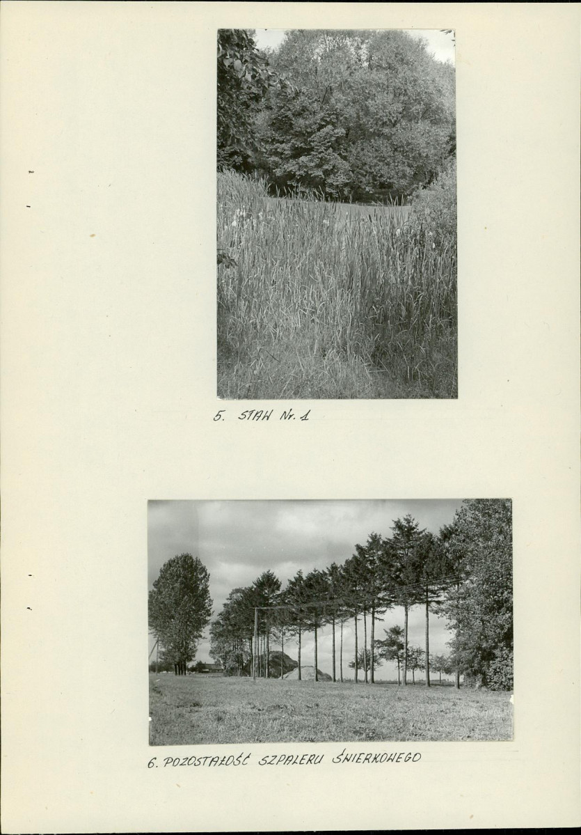 EP - Ewidencja parkowa, skan nr 15