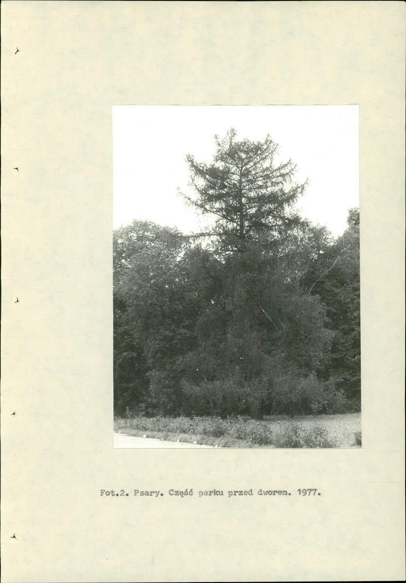 Ewidencja parkowa, skan nr 15