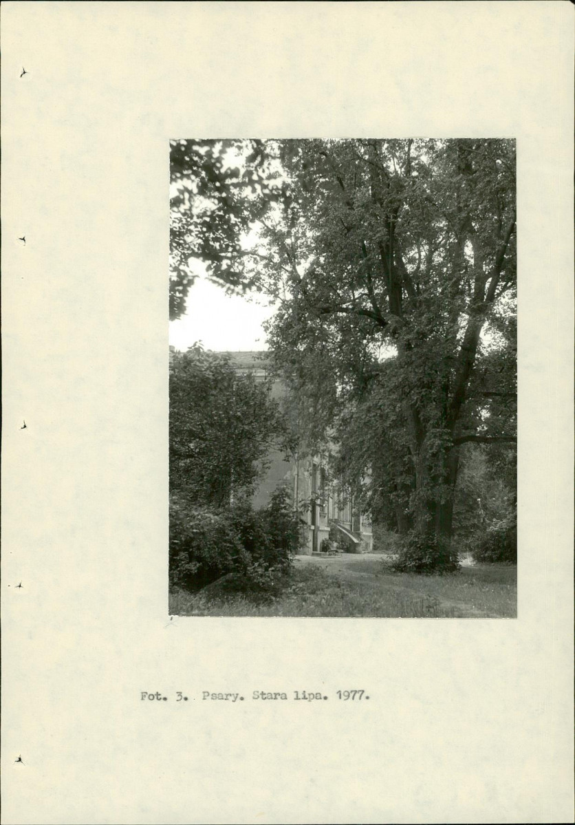 Ewidencja parkowa, skan nr 16