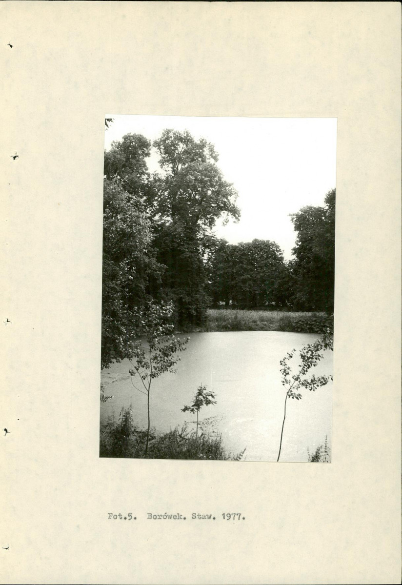 Ewidencja parkowa, skan nr 17