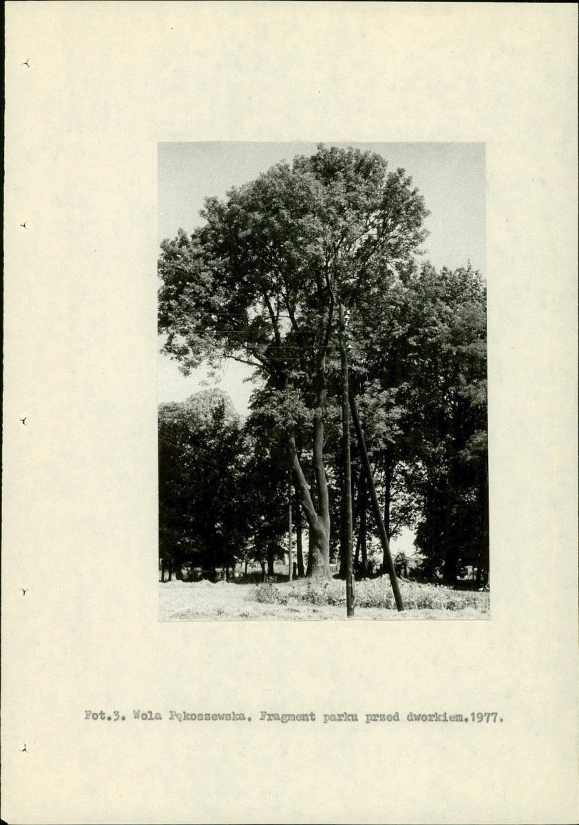 Ewidencja parkowa, skan nr 13