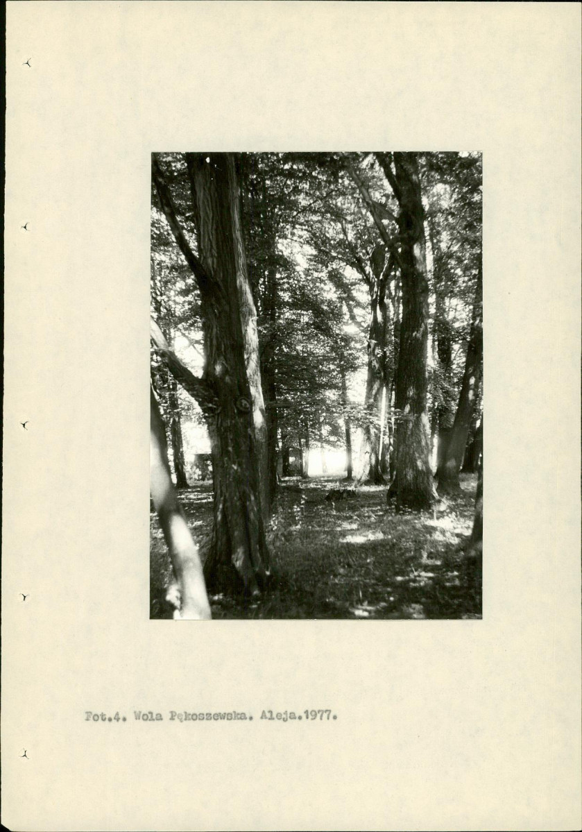 Ewidencja parkowa, skan nr 14