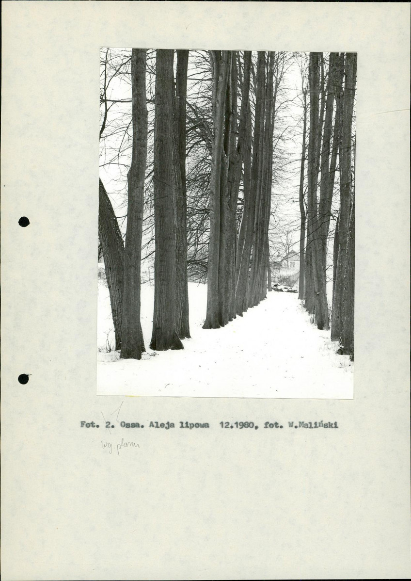 Ewidencja parkowa, skan nr 13