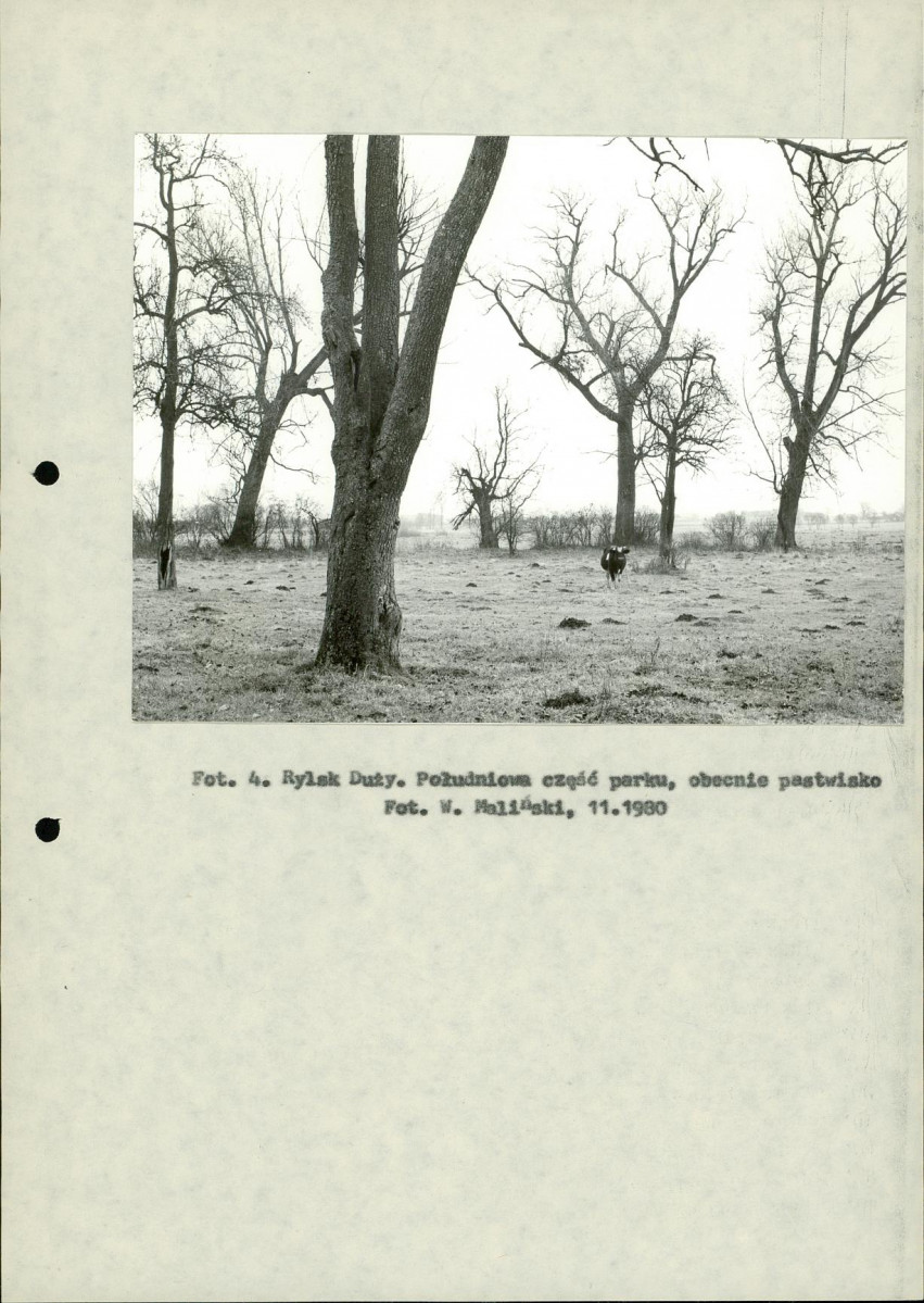 Ewidencja parkowa, skan nr 14