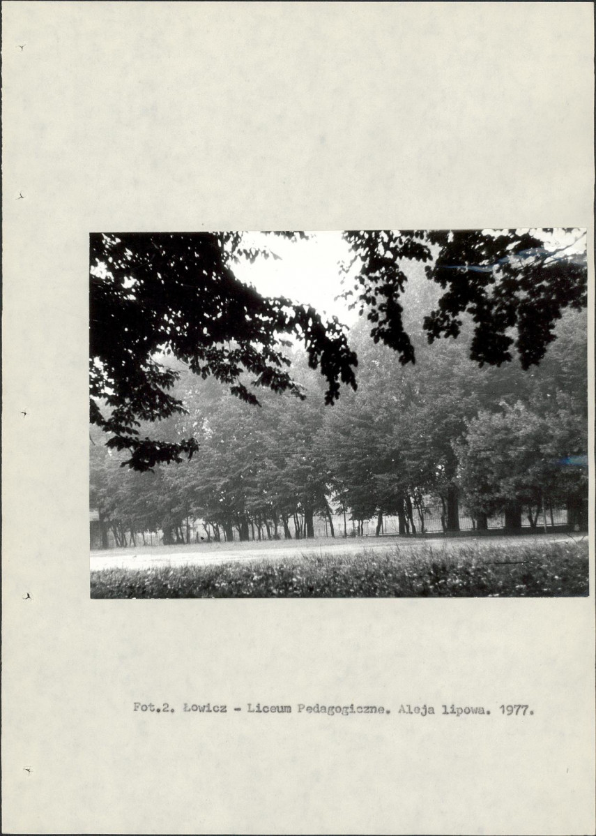 Ewidencja parkowa, skan nr 11