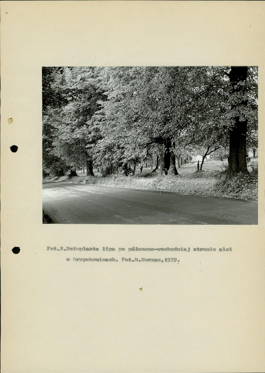 Ewidencja parkowa, skan nr 11