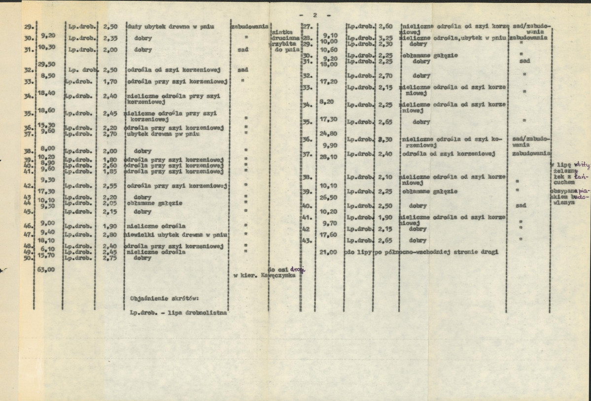 Ewidencja parkowa, skan nr 13