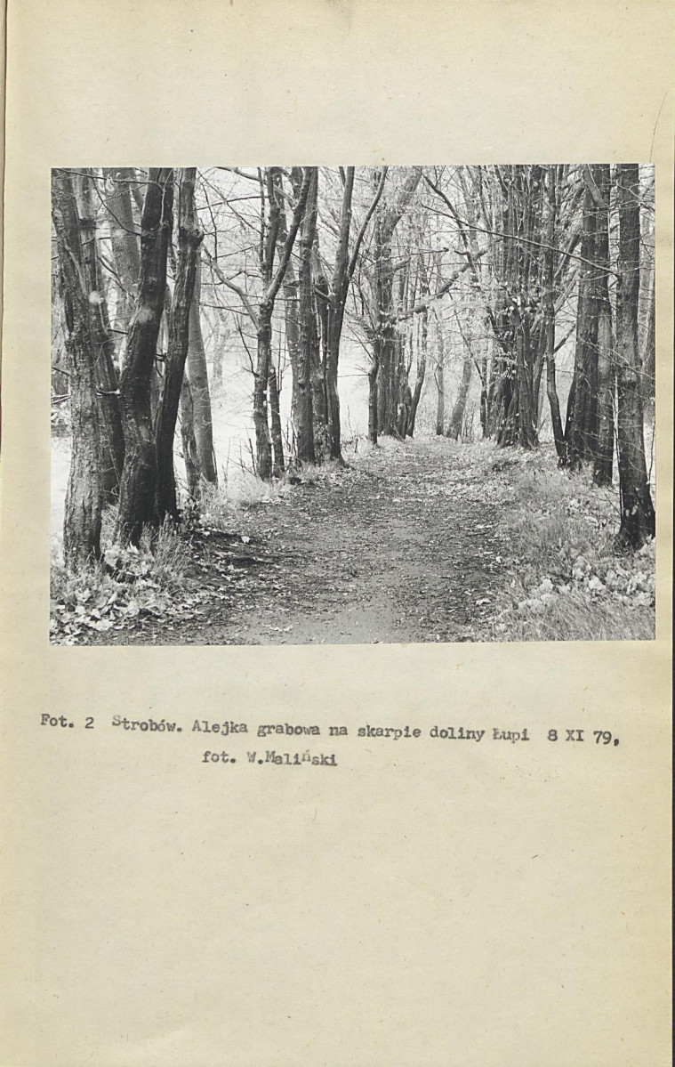 Ewidencja parkowa, skan nr 13