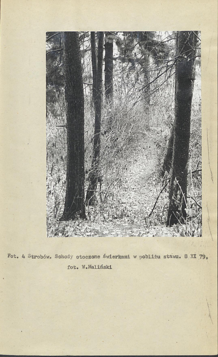 Ewidencja parkowa, skan nr 15