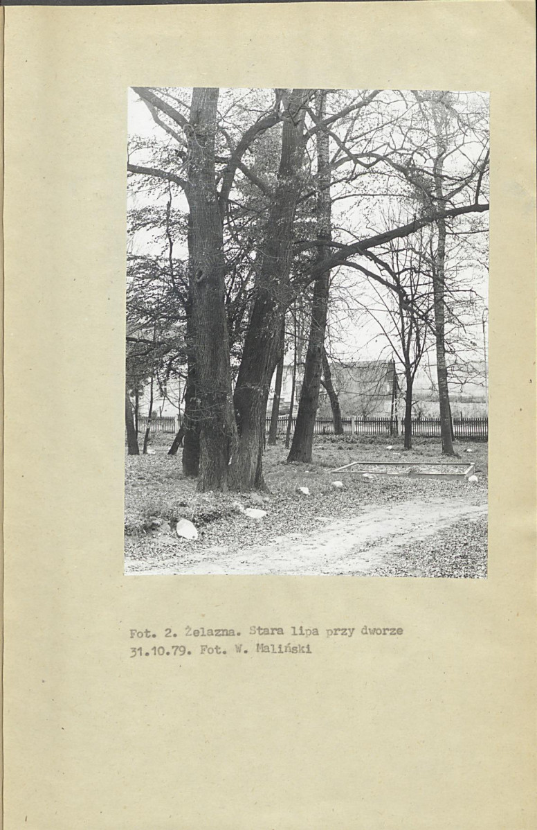Ewidencja parkowa, skan nr 13