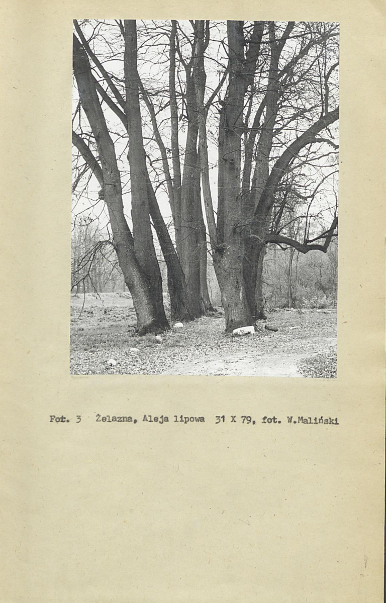 Ewidencja parkowa, skan nr 14