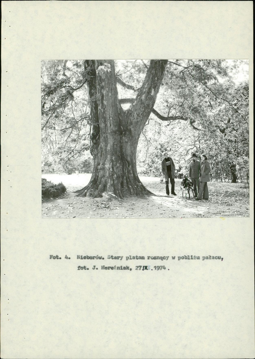 Ewidencja parkowa, skan nr 23