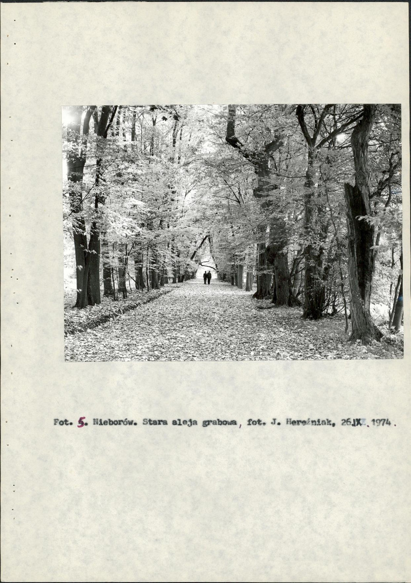 Ewidencja parkowa, skan nr 24