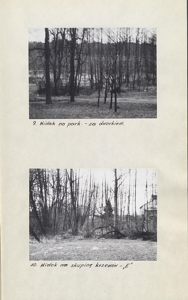 Ewidencja parkowa, skan nr 19