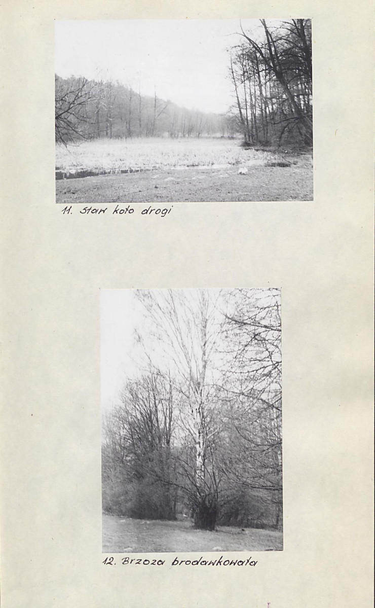 Ewidencja parkowa, skan nr 20