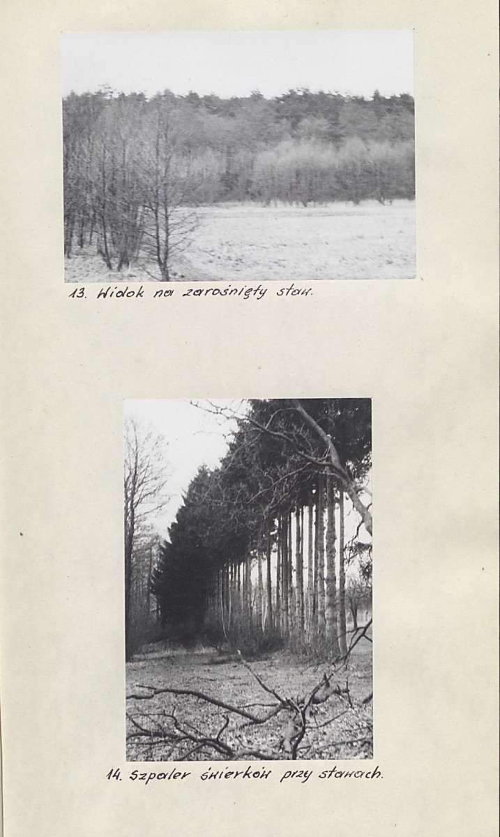Ewidencja parkowa, skan nr 21