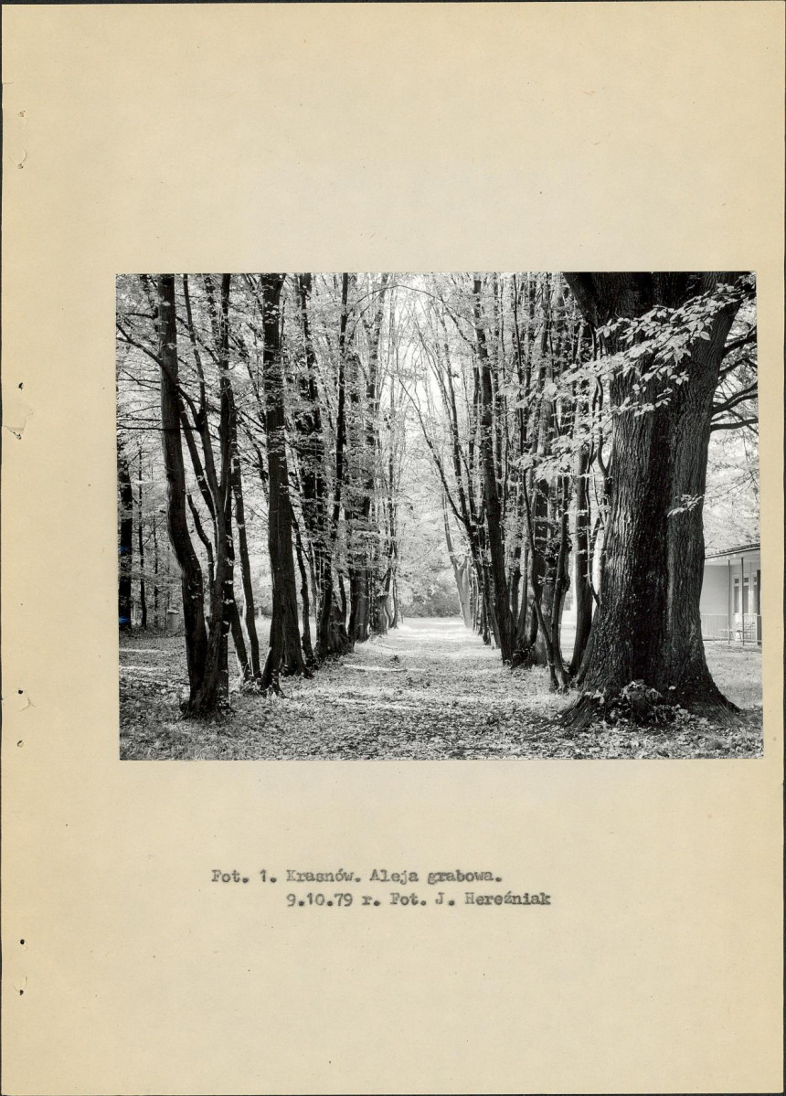 Ewidencja parkowa, skan nr 12