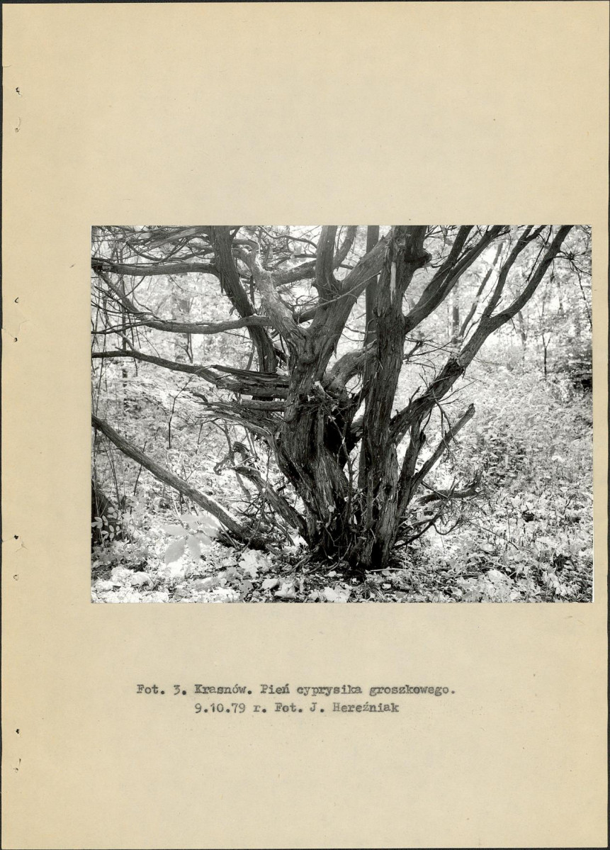 Ewidencja parkowa, skan nr 14