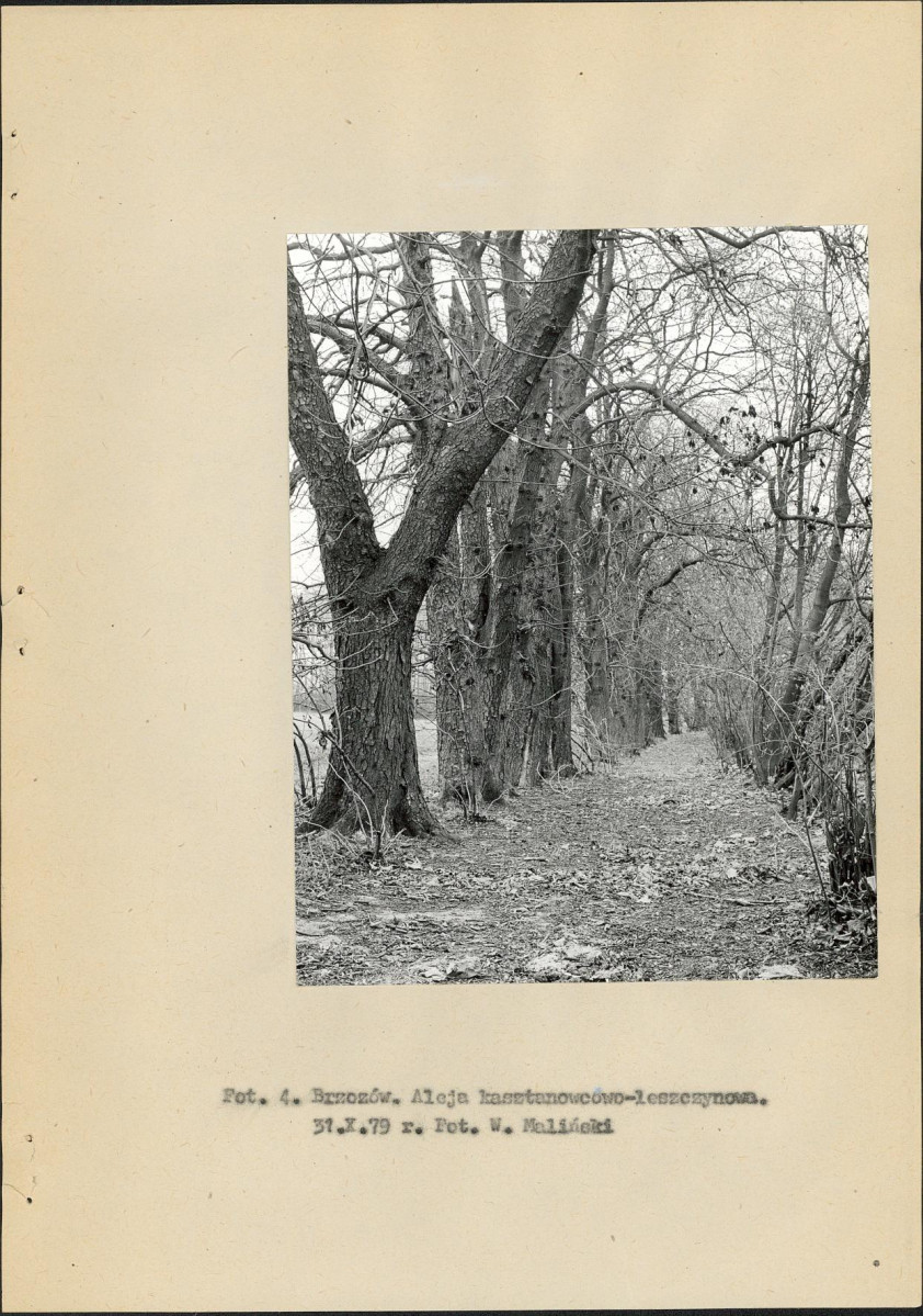 EP - Ewidencja parkowa, skan nr 15