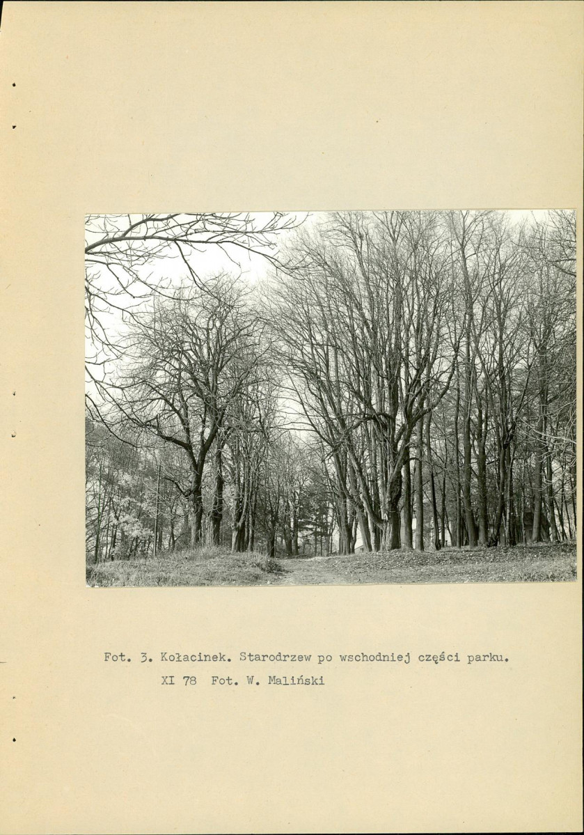 Ewidencja parkowa, skan nr 15