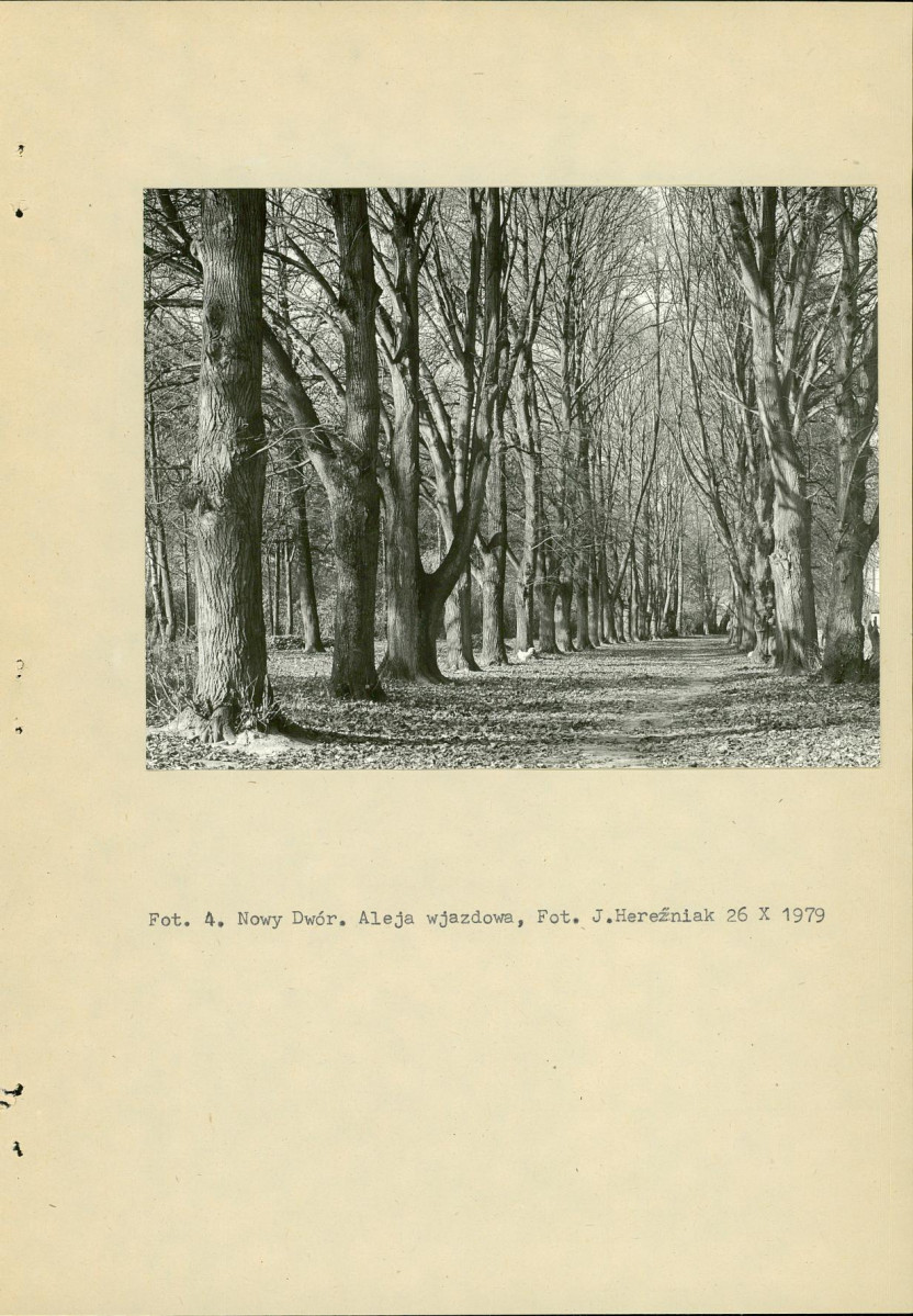Ewidencja parkowa, skan nr 15