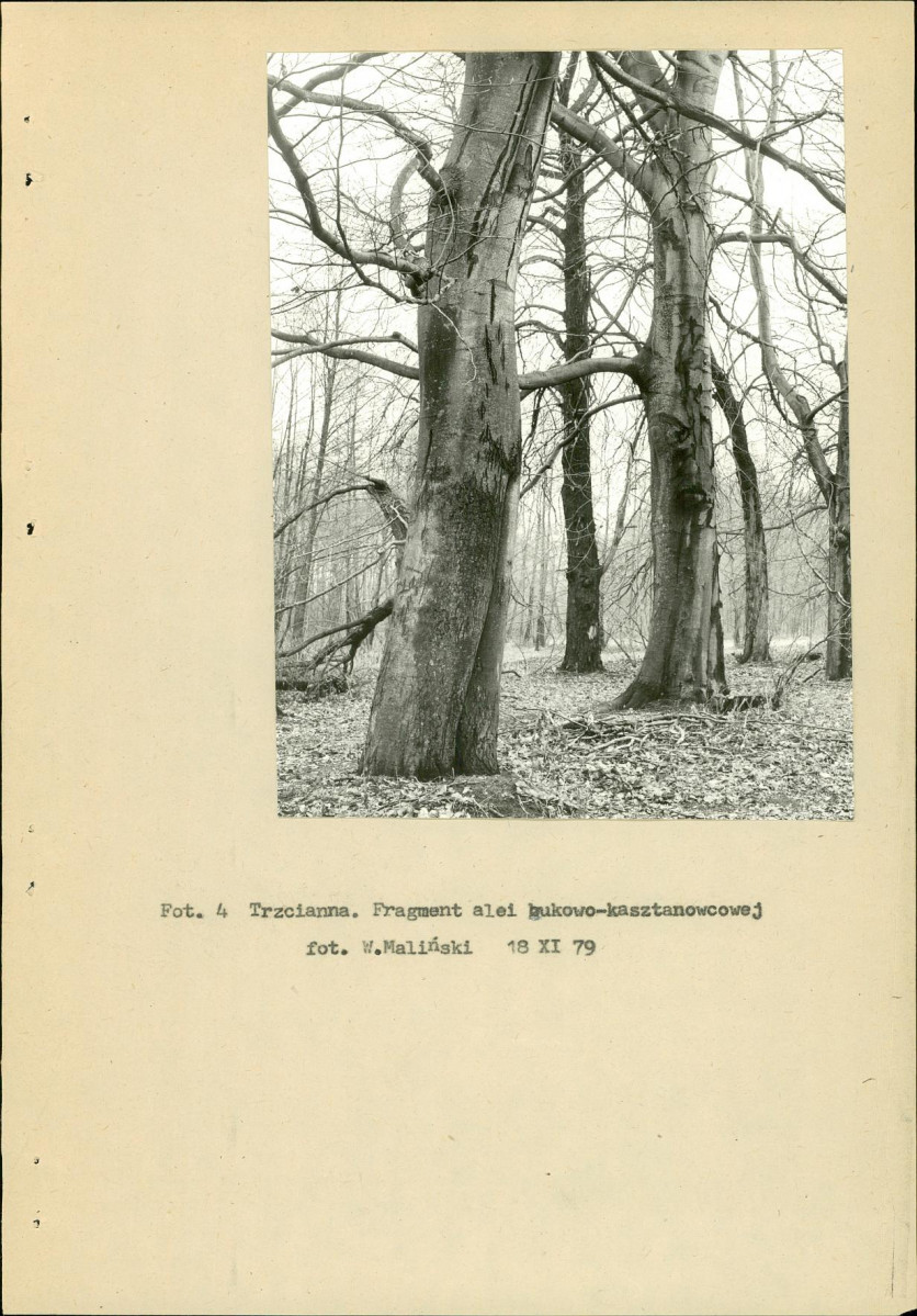 EP - Ewidencja parkowa, skan nr 15