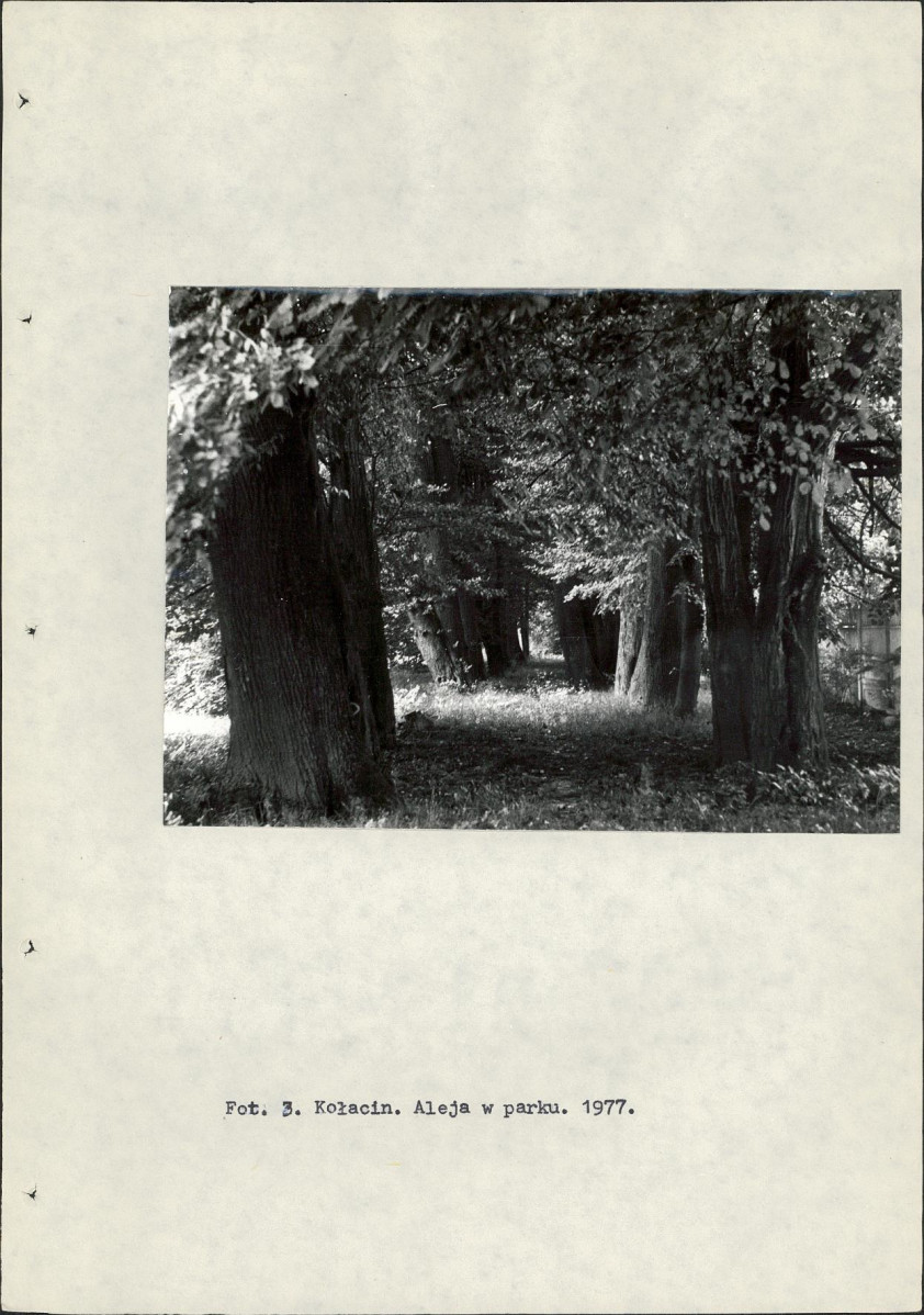 Ewidencja parkowa, skan nr 14