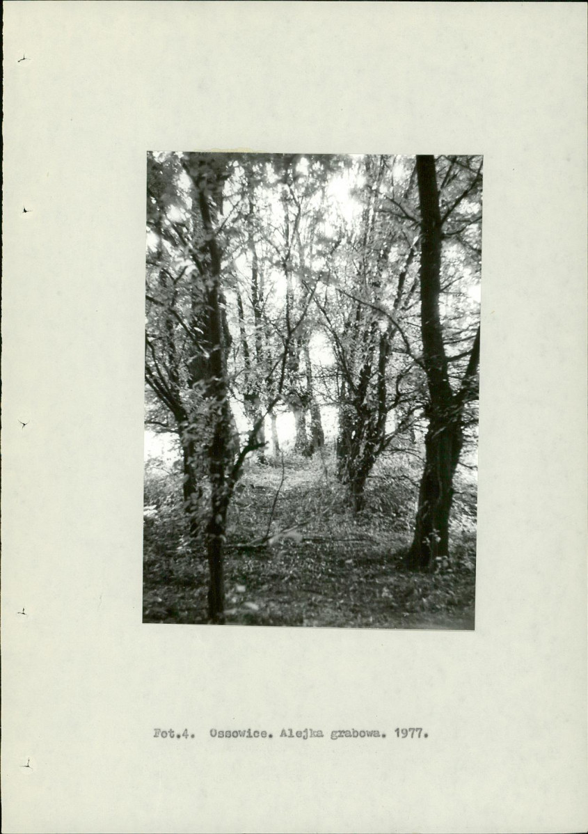 Ewidencja parkowa, skan nr 15