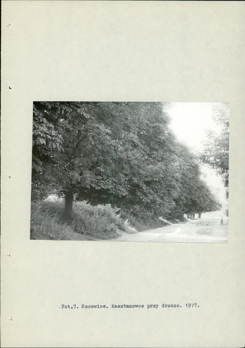 Ewidencja parkowa, skan nr 18