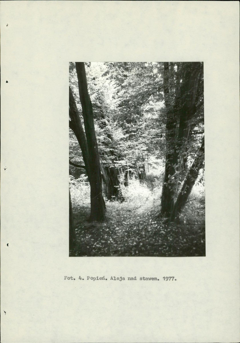 EP - Ewidencja parkowa, skan nr 14