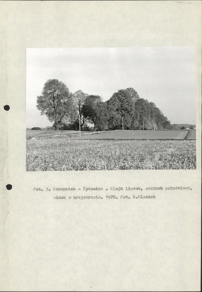 Ewidencja parkowa, skan nr 11