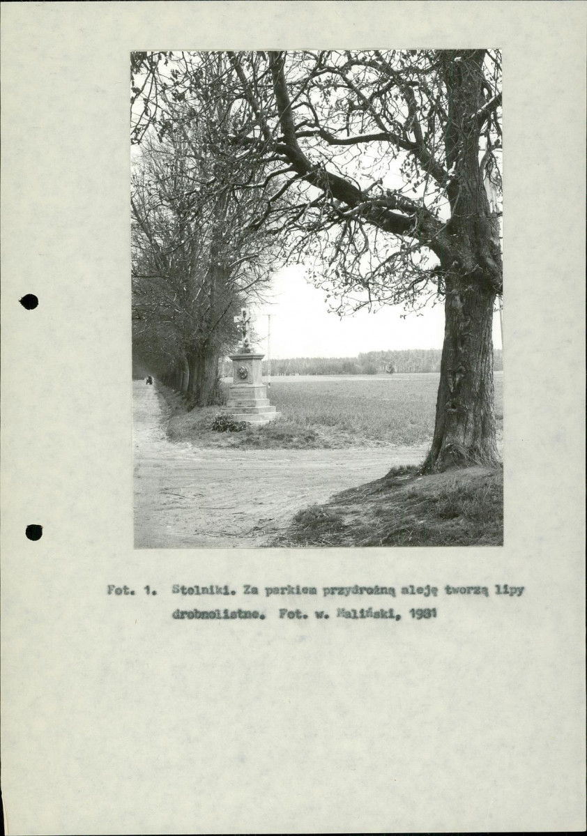 Ewidencja parkowa, skan nr 8