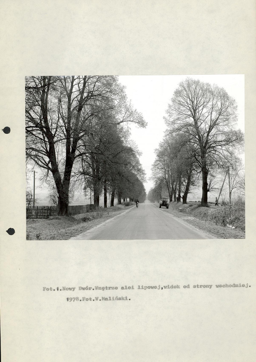 Ewidencja parkowa, skan nr 10